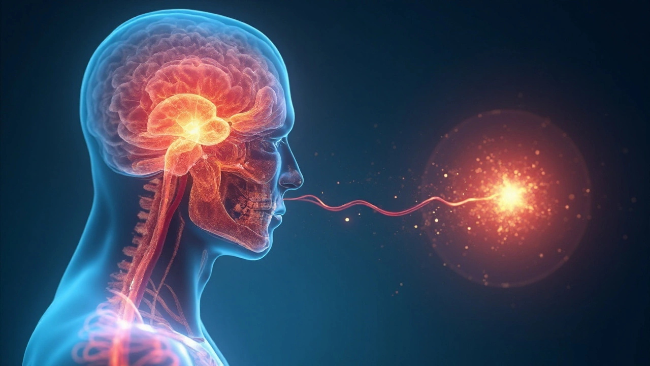 The Brain’s Role: Central Pattern Generator